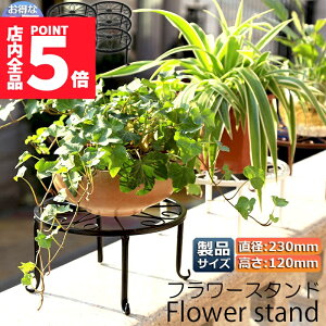 Ԍ!|Cg5{10{t[X^h O   6Zbg ԑ X^h X^h ACA v^[bN Lrt ϗtA |bN Aؔu vgX^