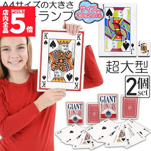 Ԍ!|Cg5{10{gv rbN gv 2Zbg ^ 傫 A4TCY gv gvJ[h   Vlz[ NG[V i oo x 唗 v