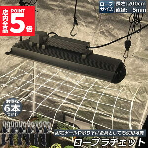 Ԍ!|Cg5{10{[v`Fbg 6{Zbg [vnK[ בxg tbN Jri ݂艺 ג@ [v 2m nK[  ֗ ^[veg BBQ AEghA 