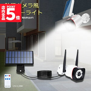 Ԍ!|Cg5{10{\[[Cg \[[ZT[Cg hƃJ ^ 5MR[h O LED \[[ h h 邢 l ĎJ hƃCg hЃCg R