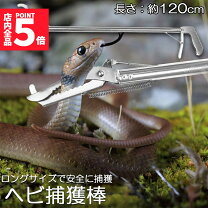 楽天市場】蛇 ハブの通販