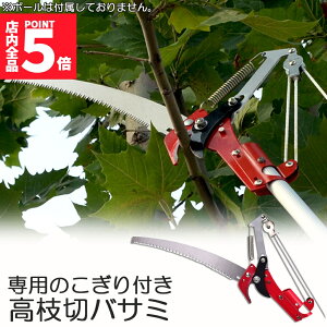 Ԍ!|Cg5{10{}؂oT~ [v }؂̂ }mRM }؂oT~ } y ͂ K[fjOpi  ʎ ̎ } nT~ | K[fj