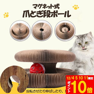 Ԍ!|Cg5{10{Lp܂Ƃ ܌ ܂Ƃi{[ L L Lp܂Ƃ {[t ܂ݎ njJ\ 2in1 gݗĊȒP {- ܌  ܖ  