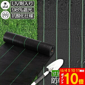 Ԍ!|Cg5{10{hV[g 50m X 2m V[g |pV[g GV[g UVܓ  _ ƒp |p  Gʐ  Y K[fjO ԏ ƒ؉ ϋvN