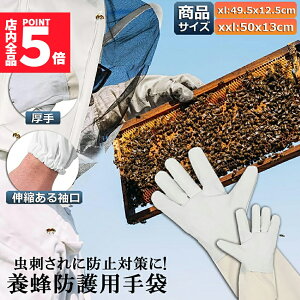 Ԍ!|Cg5{10{yLO܁Iz {Ip hO[u Ɨp _炩rv K[fjOO[u  v | t[TCY OO[u I Ȋ 