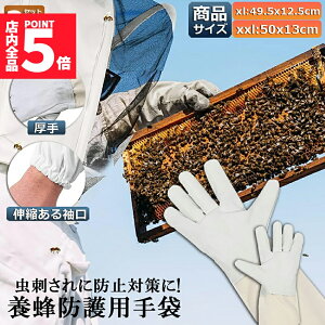 Ԍ!|Cg5{10{{Ip hO[u Ɨp _炩rv 2gZbg K[fjOO[u  v | t[TCY OO[u I Ȋ 쏜 Q쏜 