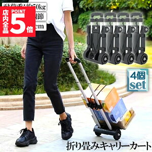 Ԍ!|Cg5{10{L[J[g ܂  4Zbg y É nhL[ ו^ԃJ[g ω׏d50kg Œ胍[vt ~ RpNg  4 Œ胍[v