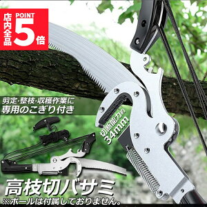 Ԍ!|Cg5{10{}؂oT~ }  }؂ }΂ [v }؂̂ }mRM }؂oT~ y ͂  ʎ ̎ } nT