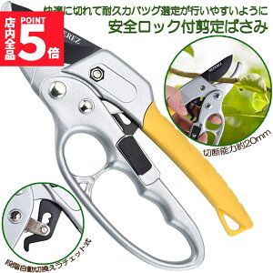 Ԍ!|Cg5{10{΂ `Fbg  |p͂ }؂΂ A~ `Fbg΂ ɂ y }  ~ 뉀 A  } K[fj