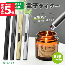 ★ポイント5倍 マラソンセール★電子ライター プラズマライター強風で消えない ライター ブラック シルバー ゴールド グレー USB充電式 ガス オイル 不要 点火用ライター キャンドル 花火 ろうそく アウトドア お香 花火 キャンプ 蚊