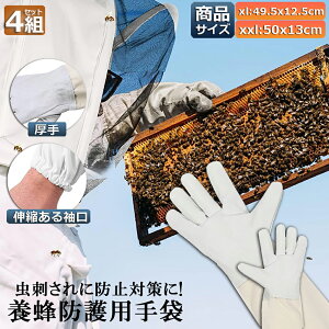 {Ip hO[u Ɨp _炩rv 4gZbg K[fjOO[u  v | t[TCY OO[u I Ȋ 쏜 Q쏜  Ɨp jp 悯 