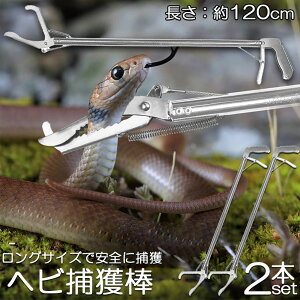 wrߊl_ 2{Zbg wr ߊl  ܂肽 wrߊl gO  ւ nu ގ ߊl ߊl_ ΍  쏜 Aj}Lb`[ @ Xl[NLb`[ Xl[Nn^[