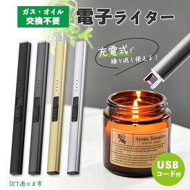 電子ライター プラズマライター 強風で消えない ライター ブラック シルバー ゴールド グレー USB充電式 ガス オイル 不要 点火用ライター キャンドル 花火 ろうそく アウトドア お香 花火 キャンプ 蚊取り線香 防風 USB 充電式 アークライター エコ シンプル