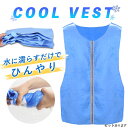冷却ベスト クールベスト 冷感ベスト 冷却 熱中症 猛暑対策 冷却服 ひんやりグッズ 工事現場 工場内 屋外 スポーツ 冷…