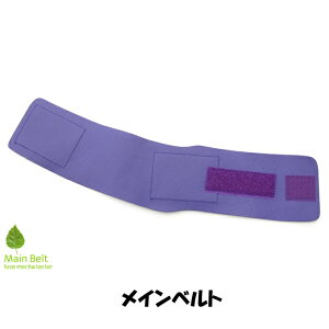 【SUNBRIDGE】メインベルト(特別サイズ)ネコポス・メール便可