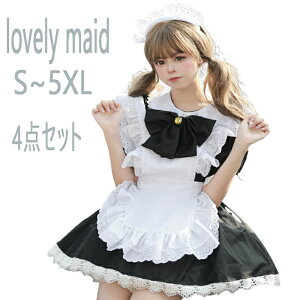 Ch   ChRXv V[g 4_Zbg S`5XL 傫TCY  jp nEBRXv SX fB[Xs[X nEB  J`[Vt Cx