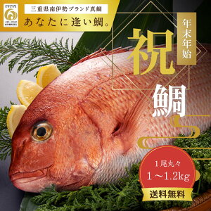 pj j  p^ Mtg 蕨 uh hg Yn Odɐuh wȂɈBx 1ہX 1`1.2kg p Ă  {B u