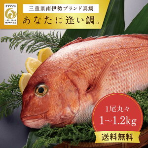 j Mtg 蕨 uh hg hg Yn Odɐuh wȂɈBx 1ہX 1`1.2kg p Ă  {B uh^ s[^[ j