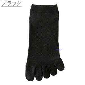 5{w\bNX Y X|[c tbgJo[ ܖ{wC \bNX C lC   5{w  ܖ{w  ہ[  bV ӂƂ΁[ ĝ   