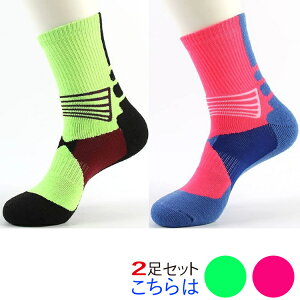 y{BzBz \bNX X|[c Y C 2 oXPbg \bNX WjA X|[c\bNX ~h\bNX   lC IXX   jO EH[L