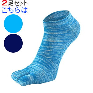 5{w\bNX Y ܖ{w\bNX 2 jO 5{w\bNX Ԃ V[g\bNX Xj[J[ C  Rbg   EH[LO lC IXX  