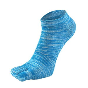 jO\bNX Y ܖ{w\bNX 5{w 5{w\bNX Ԃ V[g\bNX Xj[J[ C  Rbg   EH[LO lC IXX  