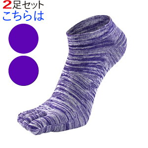 X|[c\bNX Y C 5{w \bNX 2 Ԃ V[g\bNX Xj[J[ 5{wC  Rbg   jO EH[LO lC IXX  