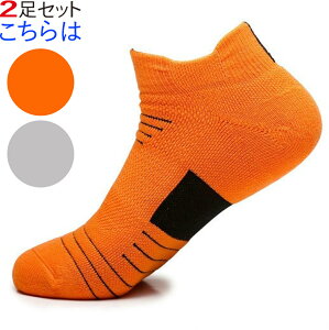 St\bNX Y C 2 Xj[J[\bNX X|[c\bNX   V[g\bNX AN  lC IXX  X|[c  ejX g[jO 