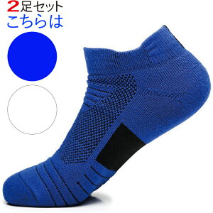 y{BzBzC Y \bNX X|[c\bNX 2  Xj[J[\bNX V[g\bNX AN   lC IXX  X|[c  g[j