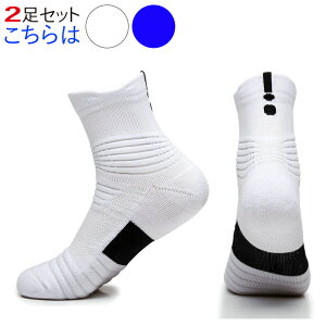 St\bNX Y C 2Zbg X|[c\bNX StC    N[ IXX lC  Xj[J[\bNX g[jO jO St ejX 