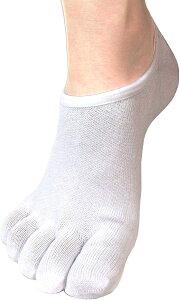 tbgJo[ 5{w Y \bNX C  Xj[J[\bNX AN\bNX ܖ{w  Xj[J[ C Ȃ n ߂  Xb| hCrOV[