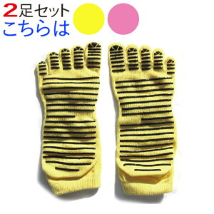 jO\bNX Y X|[c 2 5{w ~ t C ܖ{w  jOEFA g[jOEFA seBX }\    \bNX ejX W 