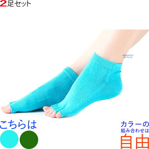 K\bNX C 2 5{w K\bNX ~ seBX\bNX KEFA fB[X zbgK C ܖ{wC 悪   KEGA lC  