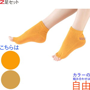 K\bNX C 2 5{w K\bNX ~ seBX\bNX KEFA fB[X zbgK C ܖ{wC 悪   KEGA lC  