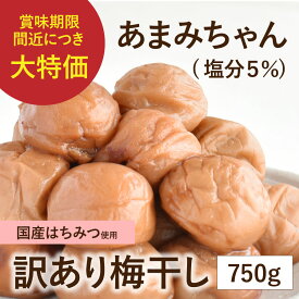 【賞味期限間近につき大特価】梅干し 訳あり 送料無料 はちみつ梅 減塩 紀州南高梅 国産 免疫力アップ 疲労回復【和歌山県産はちみつ使用】訳あり梅干し（塩分5％）あまみちゃん 750g