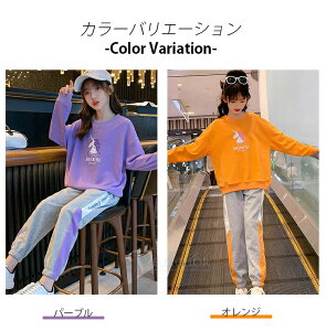 q W[W XEFbgZbgAbv JWApc  [EFA ̎q WbvAbv ؍ LbY t@bV ㉺Zbg H WjA ؍q ǂ XEFbg