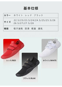 g[jOV[Y tBbglXV[Y Y fB[X y }V[Y  W xAtbg V[Y f NbV KV[Y E 