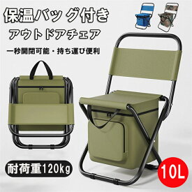 折りたたみ椅子 収納バッグ付き 防水 保温 アウトドア チェア ローチェア 軽量 コンパクト 携帯便利 600D 耐久性 丈夫 キャンプ 椅子 折り畳み 一秒開閉でき アウトドア お釣り 登山 運動会 お花見 ピクニック 行列待ち 花火大会 旅行 フェス スポーツ観戦 キャンプ用