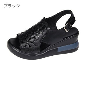 T_  fB[X PU T_ X|[cT_ X|T ԕ gAbv ɂȂ r[`T_ ؂ 6.5cmq[ ₷ C Cq[ EFbW\[ r JW