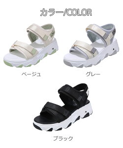 Xj[J[T_  RtH[gT_ T_ X|[c fB[X 5cm\[ 킢 y TCY AEghA ɂȂ ₷ ubN ʋCyz