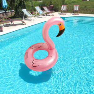   lp qp  LbY Ԃ t[g  芴 킢 q j̎q ̎q l j  CRɂ W[  O^ AEghA r[`ObY 