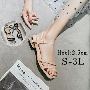 T_ fB[X NAq[ [q[ ؂ tbg ₷ ₷ XNGAgD Xgbv EFbW\[ Ȃ S-3LTCY t  T_ gOT_ 