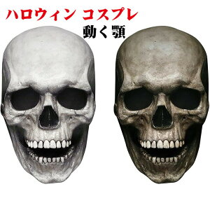 nEB RXv  nEB[̑ z[}XN XJ |nEB[}XN | Ԃ A XJ}XN   | hN  RXv }XN A t