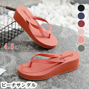 r[` T_ fB[X ɂȂ r[T  r gOT_ ᔽ ₷ ₷ 킢 ~   r[T 傫TCY Vv bh O[ u