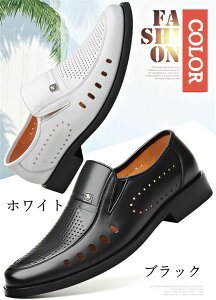 [t@[ bVV[Y ItBXT_ Y rWlXV[Y vC U[C ~ ʋCQ 芴 JWA tH[}  t ̓ Mtg v[g 