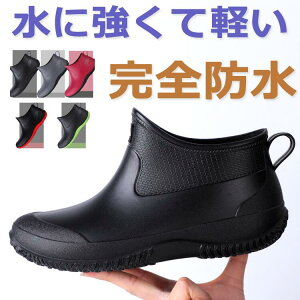 Cu[c CV[Y ʍ Y fB[X Sh JC V[gu[c ʋ _ | o[u[c J JC ₷ ₷ ₷ hh jʗp y