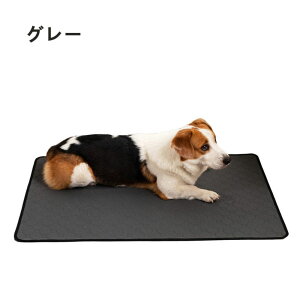 gC}bg  h ybg ybgV[g 1bz L 傫 ybgp }bg  gC}bg ybg}bg gCV[g ~ }bg 􂦂 ld\ h  L ~