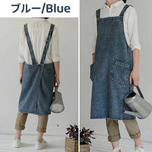 fjGv H^Gv 100 obNNX  傫TCY @\|Pbg jp ƒp ۈm X k K[f JtF 100 y \ ɂ ƃGv