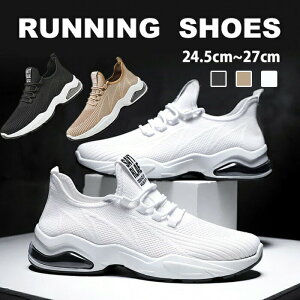 Xj[J[ Y  jOV[Y jp y ʋC h NbV EH[LOV[Y ^C WMO g[jO X|[c 傫TCY   uE C 