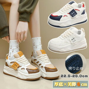 Xj[J[ fB[X Xj[J[ _bgXj[J[ q[6cm  EH[LOV[Y ₷ ɂ ʋC ~ ʋC y ^C gUP ʋ ʊw r IV ؍ X